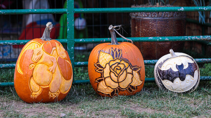 Three pumping decorated with rose, dragon and bat carved on a side during Helloween season