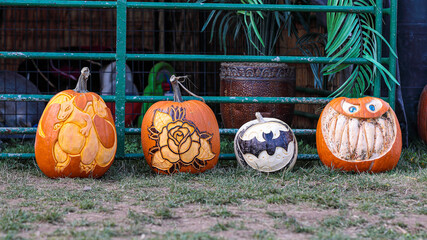 Three pumping decorated with rose, dragon and bat carved on a side during Helloween season