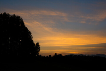 夕暮れの空とカラマツ林
