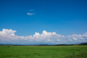 Fototapeta na wymiar 夏の草原と青空 