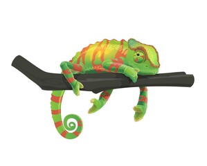 Chameleon lying on tree branch. Zoo tropical forest changing color lizard, Africa or Madagascar wildlife animal or exotic pet for terrarium. Vector green camouflage chameleon with red stripes