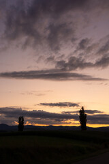 Fototapeta na wymiar 美しい夕暮れの空とポプラのシルエット 