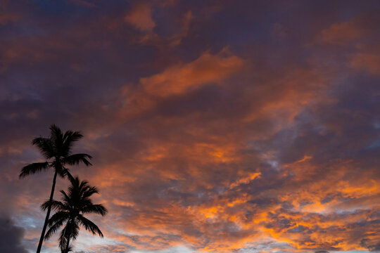 Tropical Sunset With Palm Tree silhouette with dramatic clouds. Destination and travel concept.