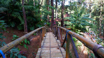 Obraz premium Photo of a bridge made of bamboo in a pine forest