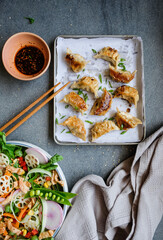 Homemade take away meal / Chinese Salad and Potstickers aka Pan Fried Jiaozi / Healthy and delicious light eats. Ideal for weight watchers and light eaters