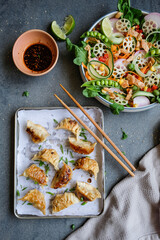 Homemade take away meal / Chinese Salad and Potstickers aka Pan Fried Jiaozi / Healthy and delicious light eats. Ideal for weight watchers and light eaters