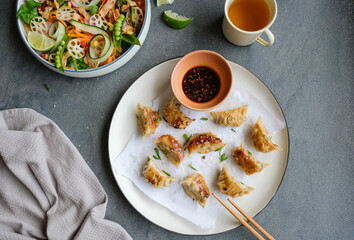 Homemade take away meal / Chinese Salad and Potstickers aka Pan Fried Jiaozi / Healthy and...