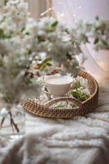 Fresh Spring blossom with a cup of coffee near window with raindrops where sheer curtain and string lights are hanging