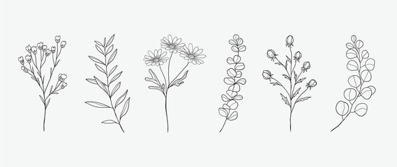 Minimal botanical hand drawing design for logo and wedding invitation. Floral line art.  Flower and leaves design collection for bouquets decoration, card and packaging background. © TWINS DESIGN STUDIO