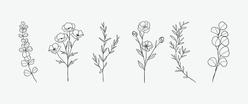 Minimal botanical hand drawing design for logo and wedding invitation. Floral line art.  Flower and leaves design collection for bouquets decoration, card and packaging background.