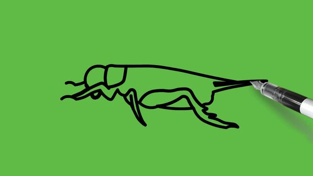 Drawing a cockroach in black and blue colour combination on abstract green background

