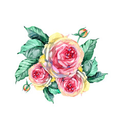 Romantic roses watercolor bouquet illustration isolated on white background