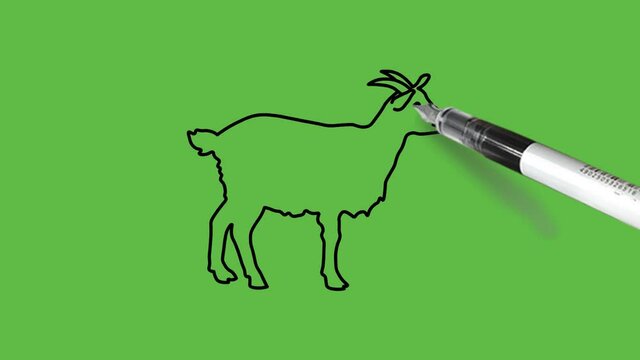 Drawing Goat In Black, Brown, Grey, White And Pink Color Combination On Abstract Green Background