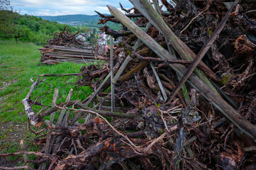 Close-up of cleared vines and posts on a heap
