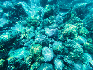 Under the sea Travel in the diving sea