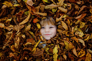 Fall portrait of little toddler girl in autumn park on warm october day with oak and maple leaf....