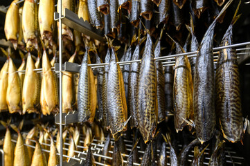 Industrial smoking of fish. Mackerel is suspended from a smoking oven.
