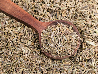wooden spoon on pile of kala zeera seeds closeup