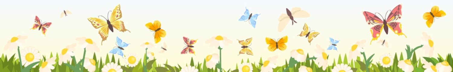 Meadow with wildflowers and butterflies. Seamless illustration. Grass close-up. Green landscape. Summer sky. Cartoon style. Flat design. Flowers. Vector art