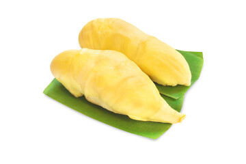Durian isolated on white background, Fresh fruit, King of fruit, Summer fruit.