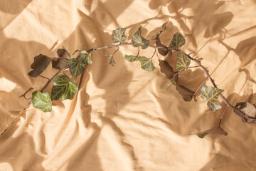 Beige installation - still life for blogger as beige background, modern art. Abstract with weaving ivy. Shadow and light on the folds of the fabric. Copy space, top view, flat lay