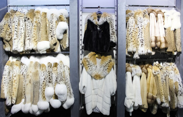 womans many color winter fur clothes in fashion shop , Fashion clothes, interior