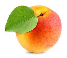 Apricot with apricot leaves isolated