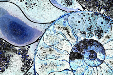Ammonite fossil, sliced with inner structure revealed