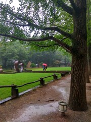 people walking in the park