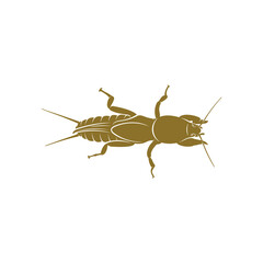 Mole Cricket design vector illustration, Creative Mole Cricket logo design concept template, symbols icons