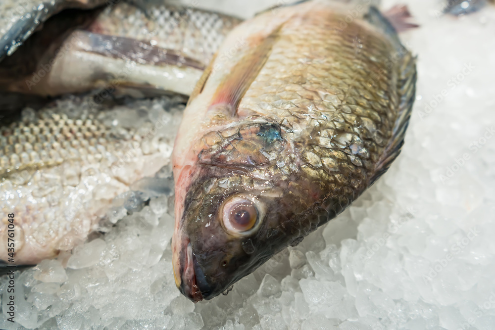 Wall mural Fresh fish on ice display in a supermarket.