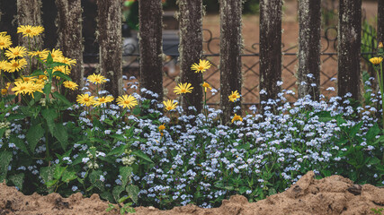 small colorful garden outside the graveyard fence. Meadow flowers blooming near cemetery