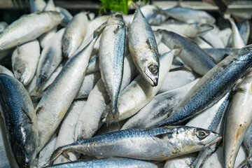 Obraz premium Fresh fish on ice display in a supermarket.