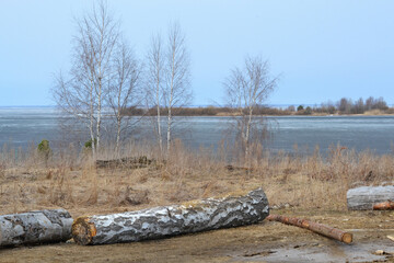 Landscape on the bank of a reservoir or river in early spring