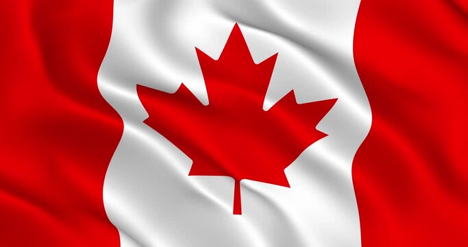 Canada Flag Seamless Smooth Wavy Animation. National flag of Canada waving in the wind. Loop animation, 3D render, 60fps. Beautifuly slows down 2 times if interpret as 30 fps