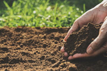 Closeup hand of person holding abundance soil for agriculture or planting peach concept.