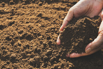 Closeup hand of person holding abundance soil for agriculture or planting peach concept.