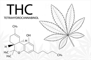Cannabis leaf of Indica with formula tetrahydrocannabinol