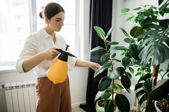 woman spraying plants at home