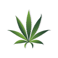 Simple icon of Cannabis Leaf Silhouette Sativa marijuana