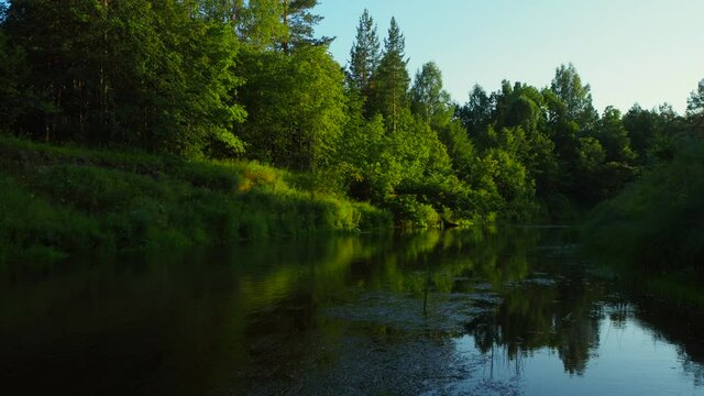 Mirror surface of the river water surface in the middle of the forest. Silence in unique natural locations far from civilisation.