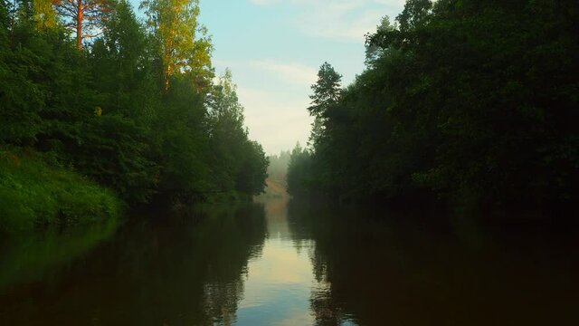 A beautiful canyon of trees on a forest river. Silence in unique natural locations far from civilisation.
Mirror surface of the river water surface in the middle of the forest.