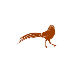 Gold Pheasant design vector illustration, Creative Gold Pheasant logo design concept template, symbols icons