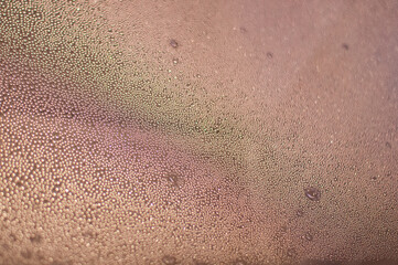 dew drops on a horizontal glass surface in a dim warm light