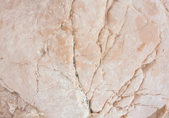 Natural abstract pink sea stone texture.Closeup