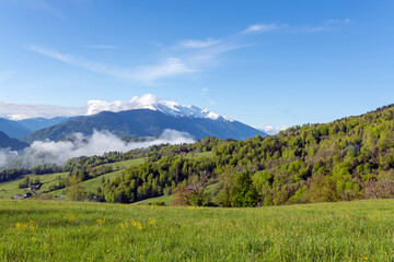 Fototapeta na wymiar Paysage de montagne dans le parc Naturel Régional des Bauges en Savoie dans les Alpes françaises au printemps près du village de Thénézol