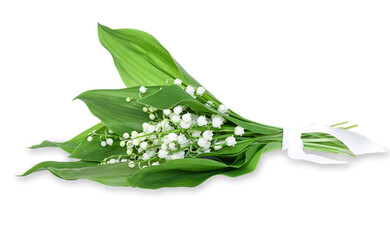 Obraz premium bouquet of lilies of the valley with green leaves isolated on white background. Spring May forest flower