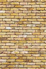 レンガの壁