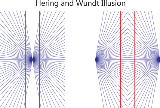 illusion12
