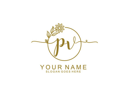 Pv Logo PNG Vectors Free Download